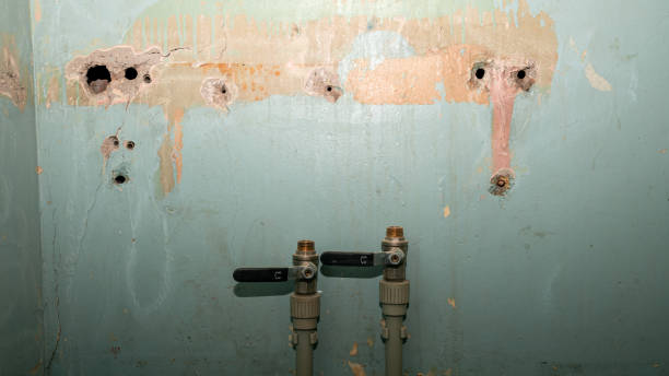 Best Water damage restoration process  in Gardende, AL